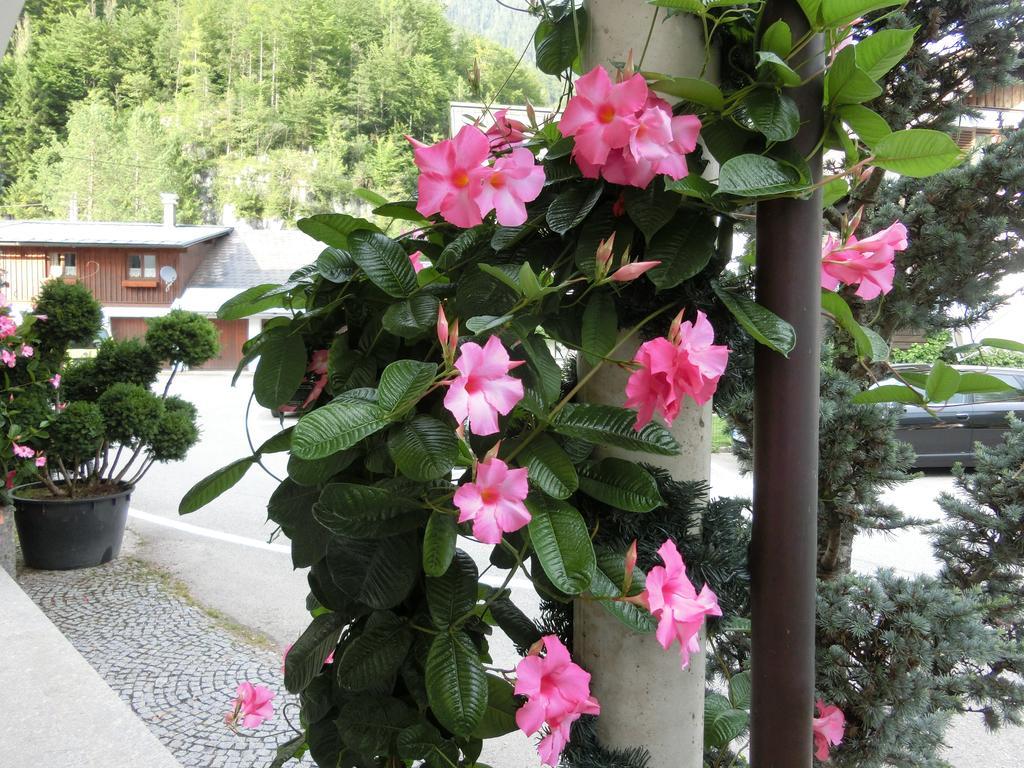 Hotel Haus Am See - Hallstatt Lake Obertraun Buitenkant foto